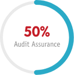 audit assurance